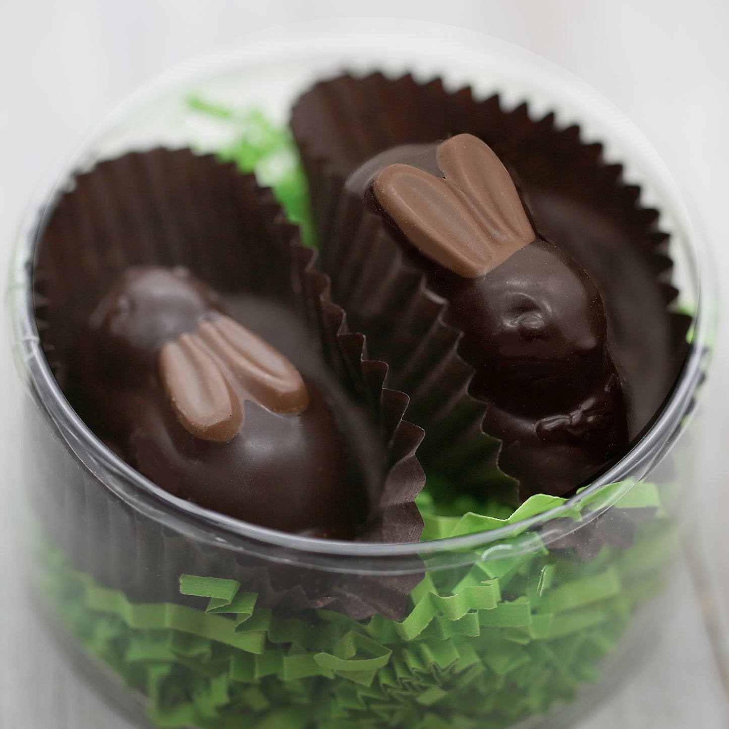 Two bunnies sit in a round, plastic, container. The body of the bunnies is a dark chocolate and the ears are milk chocolate.